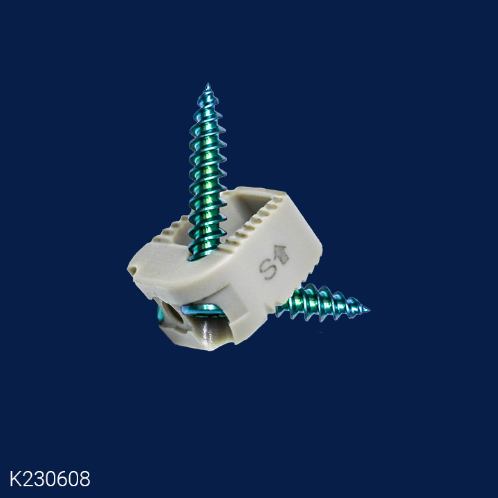 Anterior Cervical – Southern Medical
